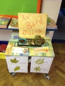 We set up a nature table during Autumn. The boys had great fun searching for leaves and conkers to add to our table.