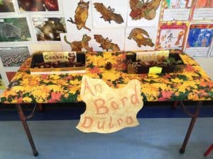 The boys brought in conkers and leaves which can be seen on our Nature Table.