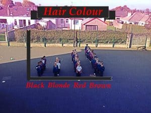 1st class created a human bar chart of their hair colour.